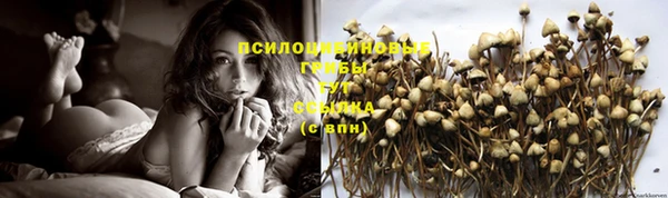 крисы Осташков