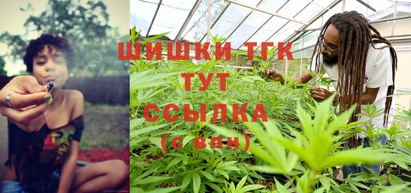 тгк Абинск