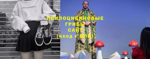 крисы Осташков