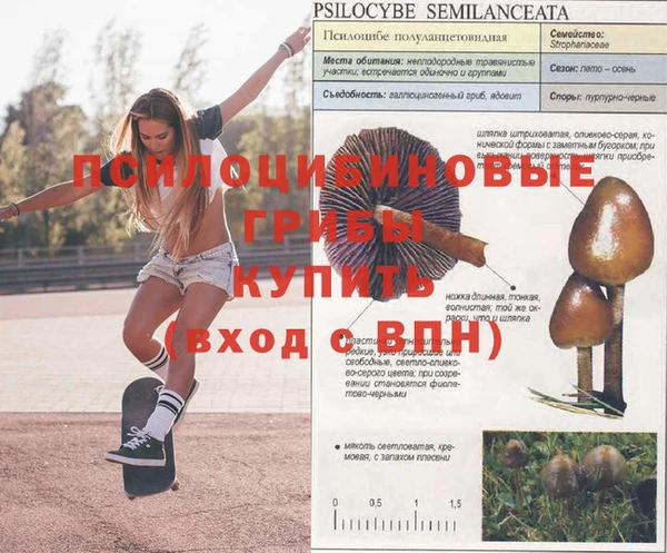 соль курить ск Абаза
