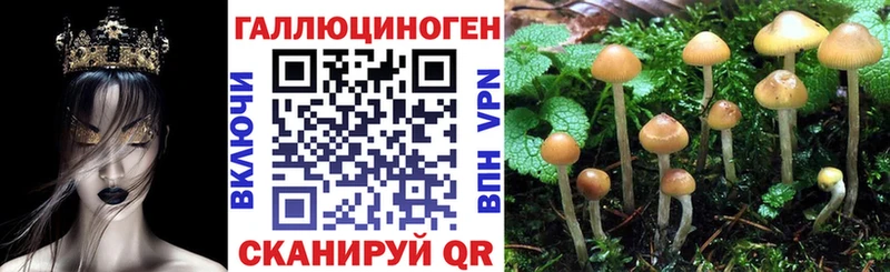 KRAKEN как зайти  Заринск  Псилоцибиновые грибы MAGIC MUSHROOMS  цена  